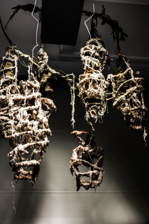 Ruthless Images King David 29.01.26 349