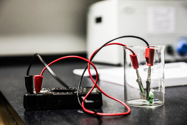 Ruthless Images King David 29.01.26 586